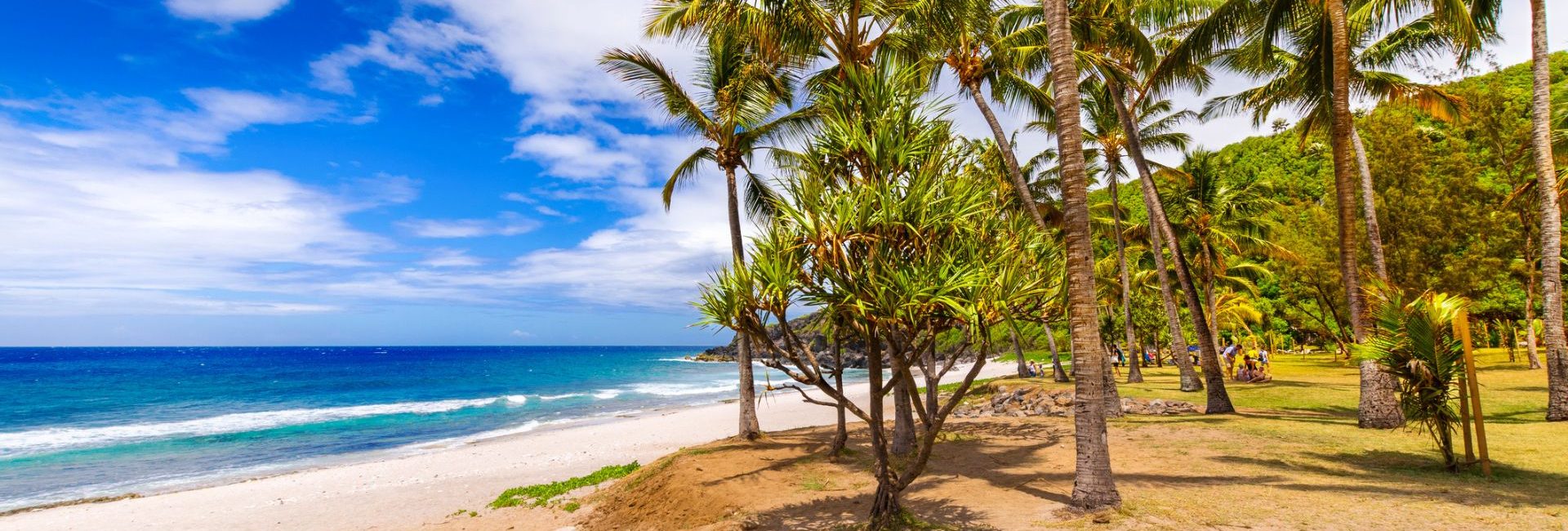 célébrer nouvel an et noel à la réunion les pieds dans l'eau