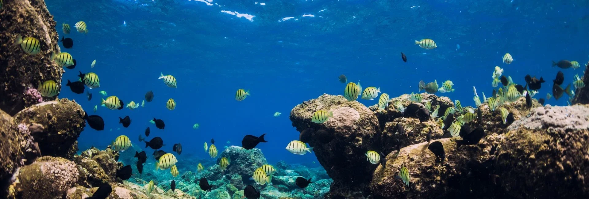 tourisme vert à la réunion
