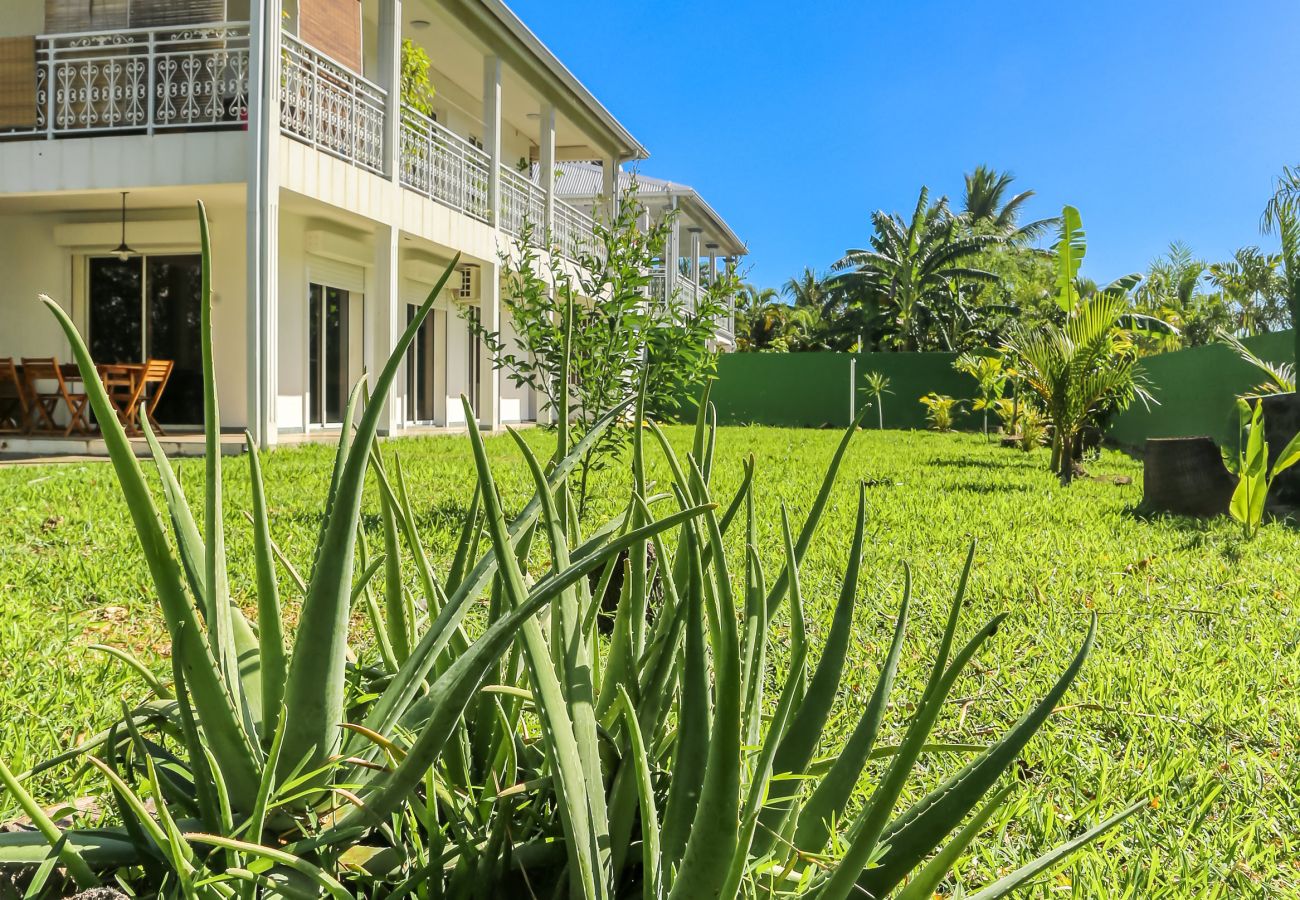 Plante endémique de La Réunion