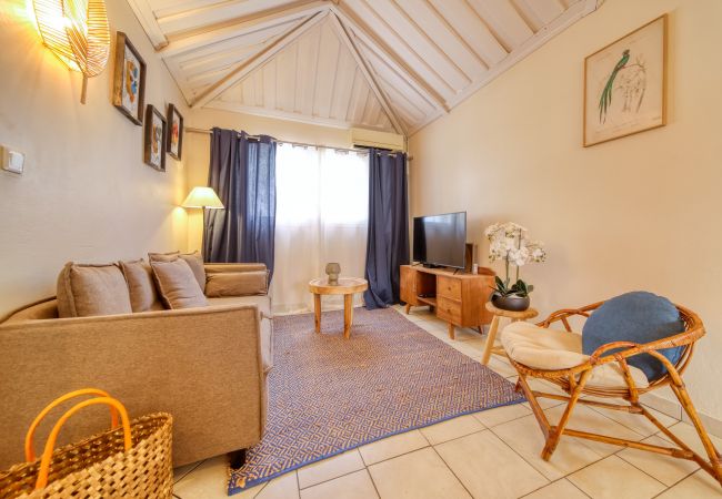 location appartement ermitage les bains la réunion