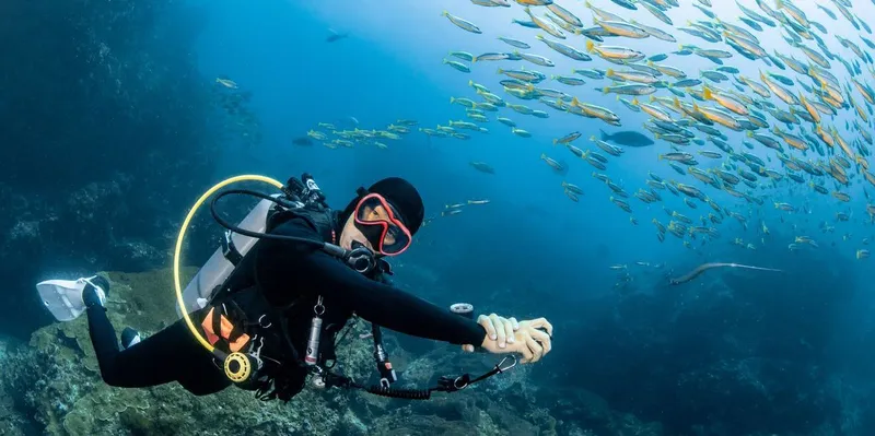 La plongée La Reunion