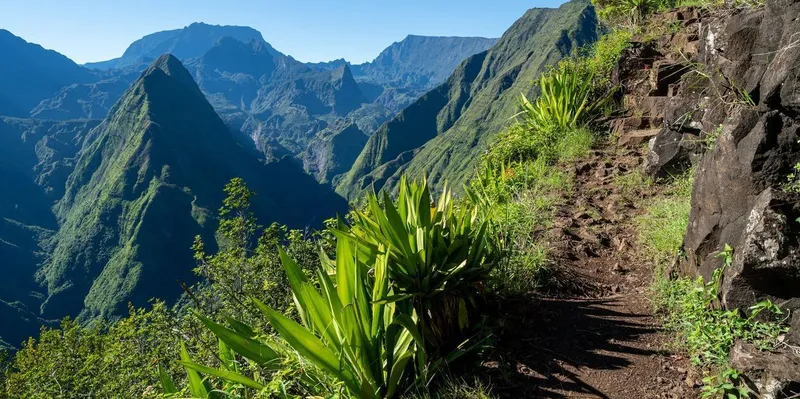 Nature foret bebour la reunion