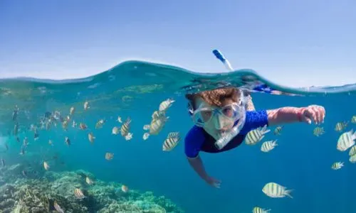 Snorkelling en famille la reunion
