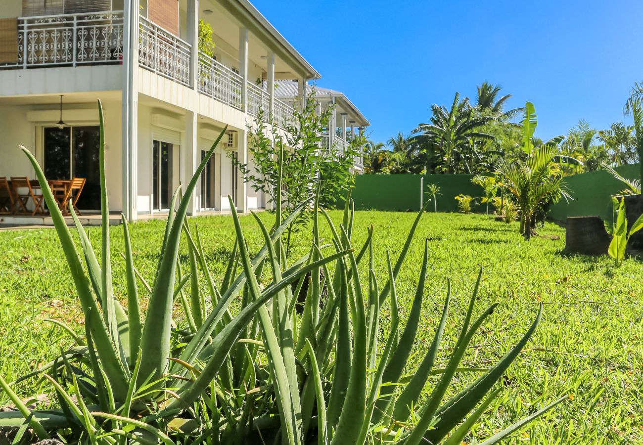 Ile de La Réunion Jardin